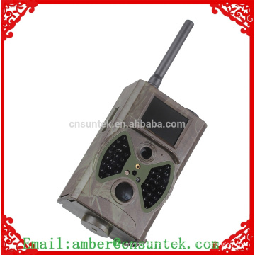 animal observation camera with night vision